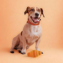 Load image into Gallery viewer, Nike Max Fusion Nike Grind Cannon Dog Toy - Durable Natural Rubber Fetch &amp; Chew Toy Made From Recycled Shoe Soles
