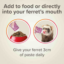 Load image into Gallery viewer, Beaphar Multi-Vitamin Malt Paste for Ferrets 100g

