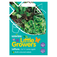 Load image into Gallery viewer, Little Growers Lettuce Cut n' come again
