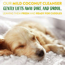 Load image into Gallery viewer, Tropiclean Hypoallergenic Wipes 100s

