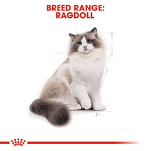Load image into Gallery viewer, Royal Canin Ragdoll Cat Food
