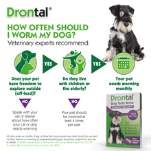 Load image into Gallery viewer, Drontal Tasty Bone Wormer Tablets for Small &amp; Medium Dogs - 2 to 20kg All Pack Sizes
