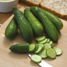 Load image into Gallery viewer, Cucumber Mini Munch F1
