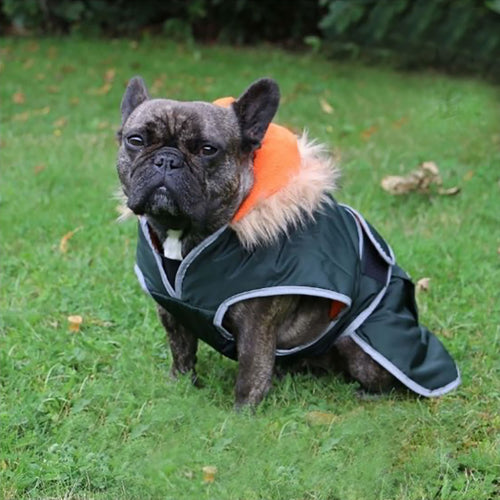 Ancol Parka Dog Coat Green