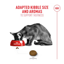 Load image into Gallery viewer, Royal Canin Fussy Cat Food
