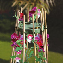 Load image into Gallery viewer, Growers Choice Sweet Pea and Bean Ring Green
