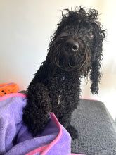 Load image into Gallery viewer, Dot Dot Pet Bamboo Dog Towel Small Purple 50cm x 50cm – Quick-Drying Towel with Hood &amp; Drying Pockets for Small Breeds
