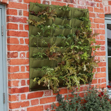 Load image into Gallery viewer, Haxnicks Vigoroot Planter
