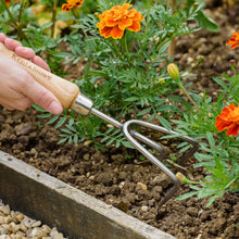 Load image into Gallery viewer, Kent &amp; Stowe Stainless Steel Hand 3 Prong Cultivator
