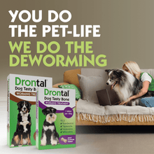 Load image into Gallery viewer, Drontal Tasty Bone Wormer Tablets for Small &amp; Medium Dogs - 2 to 20kg All Pack Sizes
