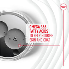 Load image into Gallery viewer, Royal Canin Adult Skin &amp; Coat Supplement 240g
