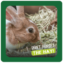 Load image into Gallery viewer, Burgess Excel Long Stem Feeding Hay For Rabbits 1kg
