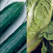 Load image into Gallery viewer, Salad Classic Collection Pack
