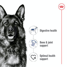 Load image into Gallery viewer, Royal Canin Maxi Adult Dry Dog Food - All Sizes
