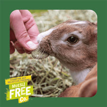 Load image into Gallery viewer, Burgess Excel Luscious Leaves Treat For Rabbits &amp; Guinea Pigs 75g
