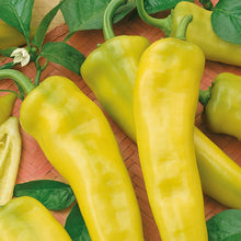 Load image into Gallery viewer, Pepper (Chilli) Fruity Volcano
