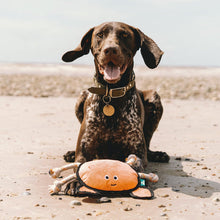 Load image into Gallery viewer, Beco Recycled Rough And Tough Dog Toys - Various Designs 
