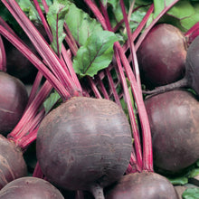 Load image into Gallery viewer, Beetroot Detroit 2
