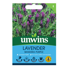 Load image into Gallery viewer, Lavender Bandera Deep Purple
