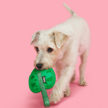 Load image into Gallery viewer, Bark Leaf Thrower Dog Toy
