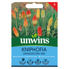 Load image into Gallery viewer, Kniphofia Grandiflora Mix
