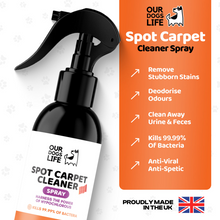 Load image into Gallery viewer, Our Dogs Life Hypochlorous Carpet Spot Cleaner 250ml
