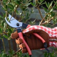 Load image into Gallery viewer, Burgon &amp; Ball Collectors Bypass Secateurs
