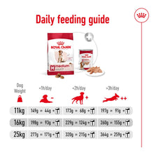 Load image into Gallery viewer, Royal Canin Medium Adult 7+ Dry Dog Food 1 x 4Kg
