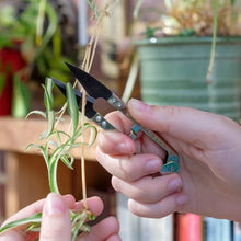 Load image into Gallery viewer, Burgon &amp; Ball Essential Tools - Mini Snips
