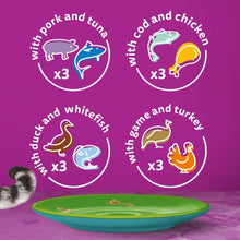 Load image into Gallery viewer, WHISKAS 1+ Cat Pouches Duo Mixed Medley in Jelly 12x85g
