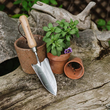 Load image into Gallery viewer, Kent &amp; Stowe Stainless Steel Hand Transplanting Trowel
