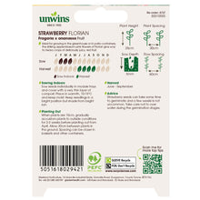 Load image into Gallery viewer, Strawberry Florian
