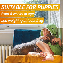 Load image into Gallery viewer, FRONTPRO® Chewable Tablets Flea &amp; Tick Treatment for Dogs

