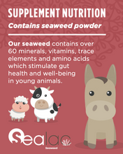 Load image into Gallery viewer, Sealac Enriched Seaweed Electrolyte Plus Dual Boost 1.5Kg
