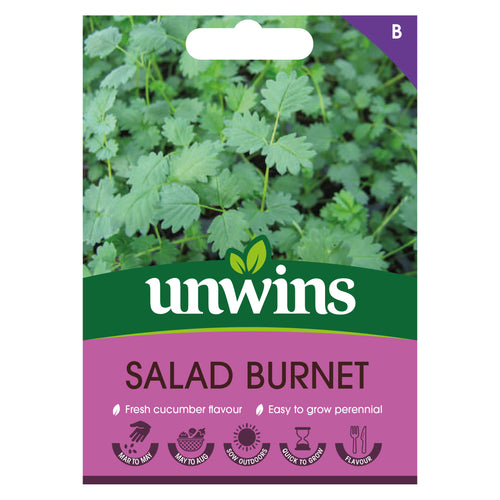 Herb Salad Burnet