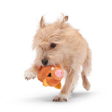 Load image into Gallery viewer, Bark Beau The Boar Dog Toy
