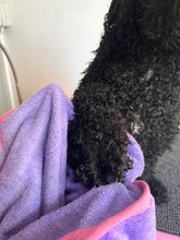 Load image into Gallery viewer, Dot Dot Pet Bamboo Dog Towel Small Purple 50cm x 50cm – Quick-Drying Towel with Hood &amp; Drying Pockets for Small Breeds
