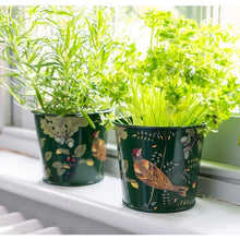 Load image into Gallery viewer, Burgon &amp; Ball RHS Woodland Wonders 2 Herb Pots​
