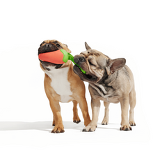 Load image into Gallery viewer, Bark Habanero Pupper Dog Toy
