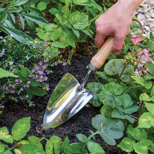 Load image into Gallery viewer, Burgon &amp; Ball RHS Stainless Groundbreaker Trowel
