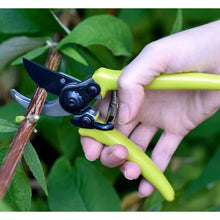 Load image into Gallery viewer, Burgon &amp; Ball RHS End Micro Secateurs-Green Handles
