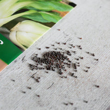 Load image into Gallery viewer, Unwins Asian Stair Fry Seed Bundle
