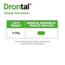 Load image into Gallery viewer, Drontal Wormer Tablets, Convenient for Large Cats (Over 4kg) 6 Tablets
