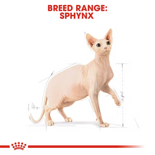 Load image into Gallery viewer, Royal Canin Cat Sphynx Adult 10kg Expires 27/05/26
