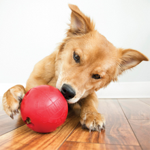 Load image into Gallery viewer, KONG Biscuit Ball Small Dog Toy
