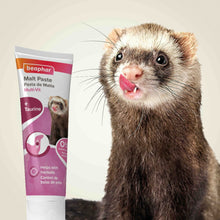 Load image into Gallery viewer, Beaphar Multi-Vitamin Malt Paste for Ferrets 100g
