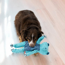 Load image into Gallery viewer, KONG Floppy Knots Hippo Jumbo XL Dog Toy
