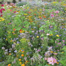 Load image into Gallery viewer, NH Bee Mix
