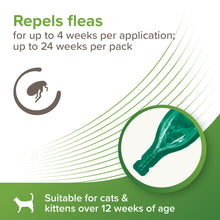 Load image into Gallery viewer, Beaphar Flea Repels Spot-on for Cats 6 Pipettes
