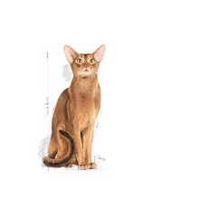 Load image into Gallery viewer, Royal Canin Protein Exigent Cat Food
